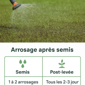 arrosage illustration